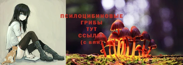 apvp Воткинск