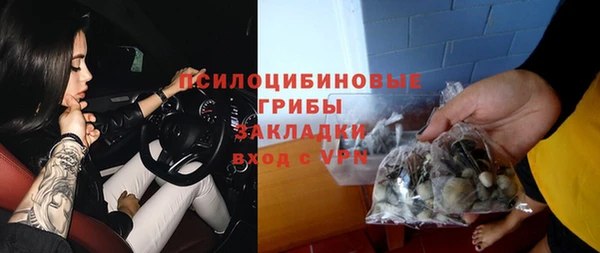 прущие грибы Всеволожск
