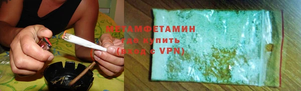 прущие грибы Всеволожск