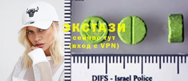 гашик Пестово