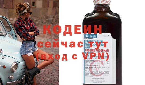 гашик Пестово