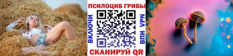 Псилоцибиновые грибы прущие грибы  darknet наркотические препараты  Майский 